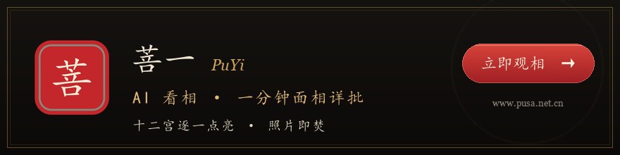 菩一 PuYi · AI看相 一分钟面相详批