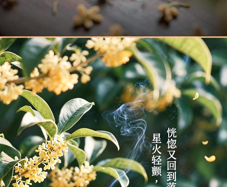 崖柏线香（安神助眠） 详情图11